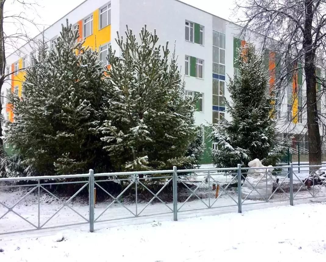 Озеленение территории школы  (Пермь, 2020)